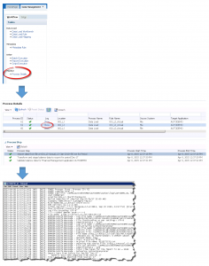 FDMEE: View Process Details Log
